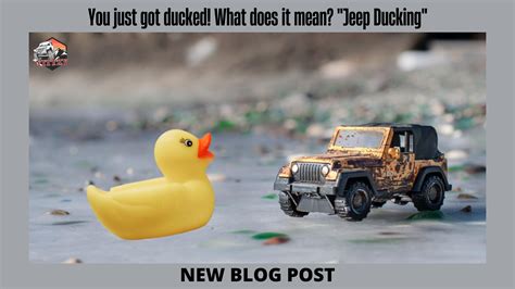 What Does A Duck Mean On A Jeep at Ida Wheeler blog
