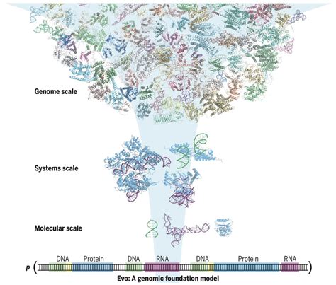 Science Org 的图像结果