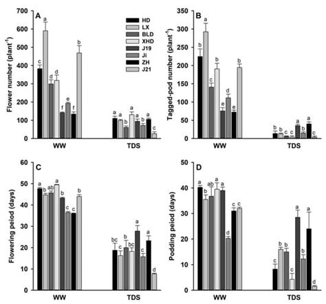 High Soybean Yield and Drought Adaptation Being Associated with Canopy ...