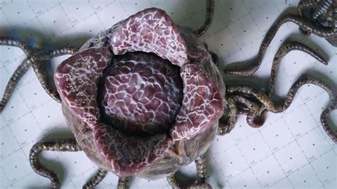 Alien Egg Inserts 的图像结果