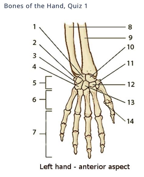 Image result for Hand Labeling