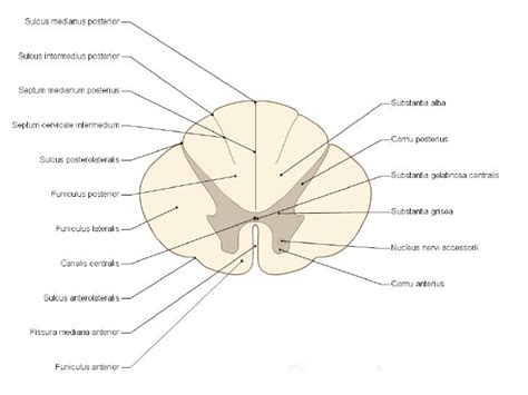 Image result for HTML and CSS and JavaScript