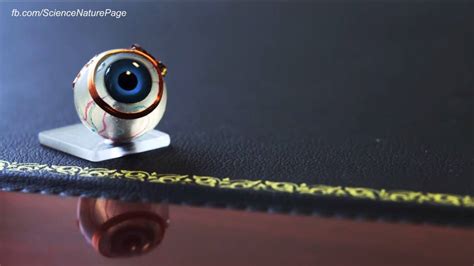 Technology Is Amazing 的图像结果