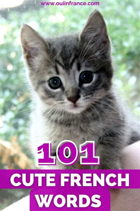 101+ Cute French words & adorable expressions to add to your vocabulary