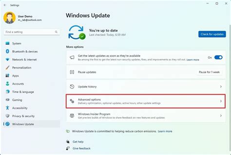 Image result for Windows 11 Display Issues