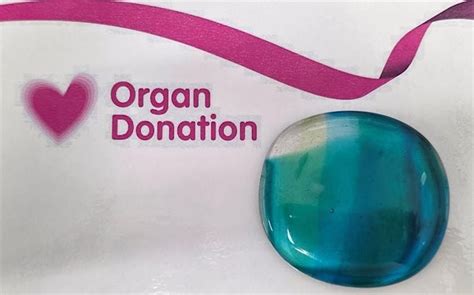 Organ Donation Artwork Project, Aberdeen Maternity Hospital ...