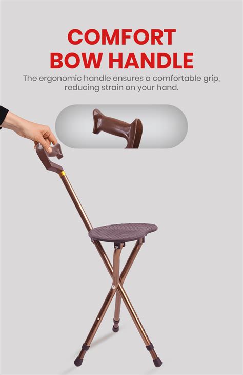 Buy Walk & Rest Walking Stick Chair at Best Price - AGEasy