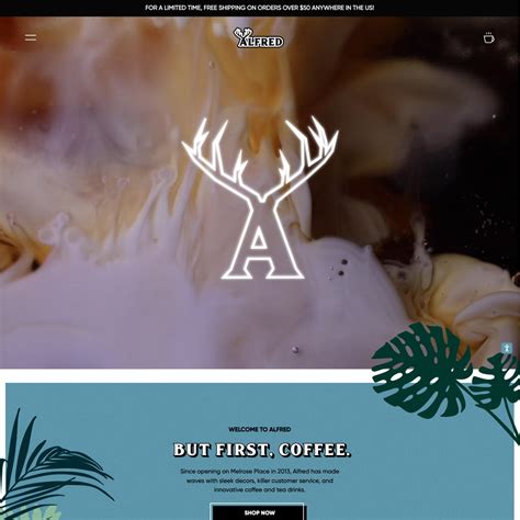 Shopify Ecommerce Store Examples - Shopify India