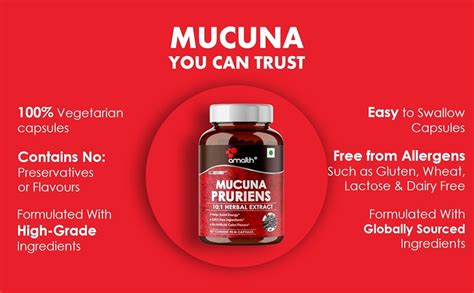 Buy Amalth Mucuna Pruriens Extract - 1,000mg Per Serving, Dopamine ...