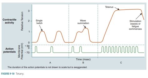 Image result for Wave Summation Graph