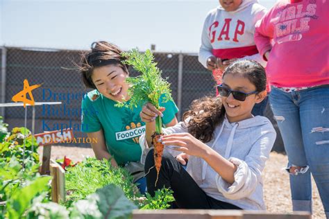 Draper Richards Kaplan Foundation launches European office in The Hague ...