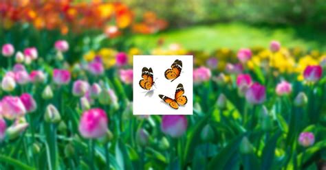 Obituary | Susan Kay Jeffcoat of Benton, Arkansas | Dial & Dudley ...