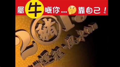 苏民峰2019年猪年生肖运程：牛 - YouTube