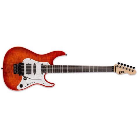 ESP LTD SN-1000FR Electric Guitar – BAJAAO.COM