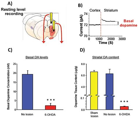 Tonic and Phasic Amperometric Monitoring of Dopamine Using ...