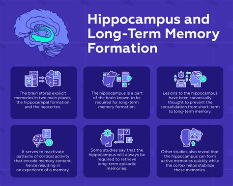 Image result for Long-Term Memory Study