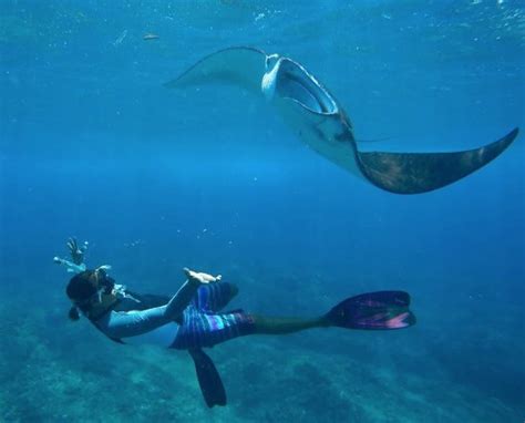A must do experience on the island - Reviews, Photos - Lembongan Water ...