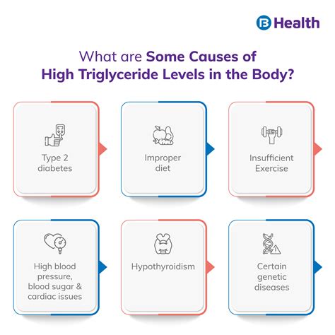 How to decrease triglycerides in the body? Here are best ways