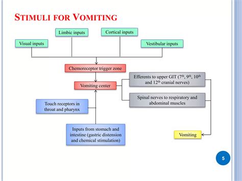 What Triggers Vomiting Reflex
