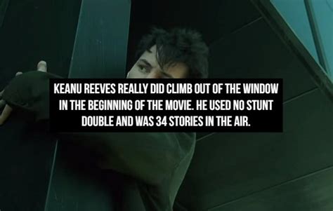 Image result for The Matrix Rabbithole