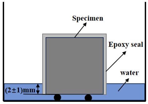 Capillary Water Absorption Characteristics of Steel Fiber-Reinforced ...