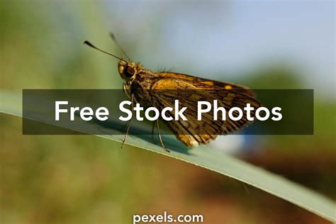 Bokeh Java 的图像结果