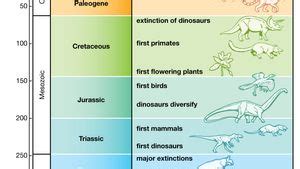 Selective Breeding Ancient Biotechnology Examples 的图像结果
