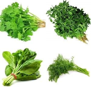 Lysithea Coriander, Methi, Palak and Soya Bhaji Seed Price in India ...