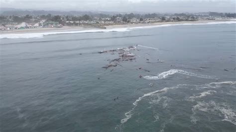 Santa Cruz Wharf partially collapses in California, city workers ...