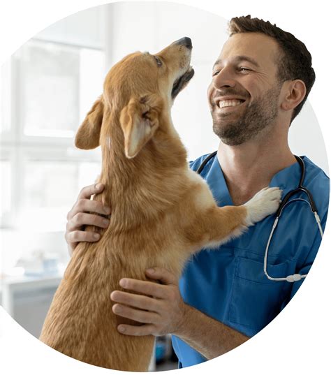 Veterinarian in Evergreen Park, IL | LePar Animal Hospital
