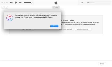 Image result for iPhone 12 Pro Max DFU Mode