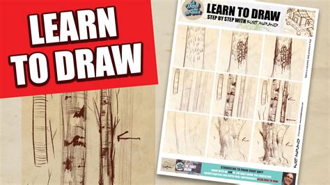 Image result for How to Draw Tree Trunks