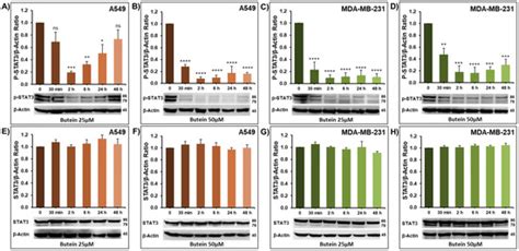 Butein and Frondoside-A Combination Exhibits Additive Anti-Cancer ...