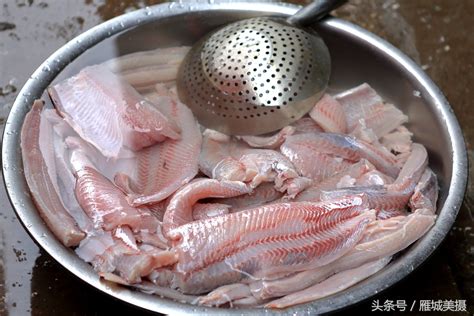 实拍衡阳鱼丸子加工制作流程 好吃的鱼丸原来是这样做出来的|天天鲜|草鱼|口感_新浪新闻