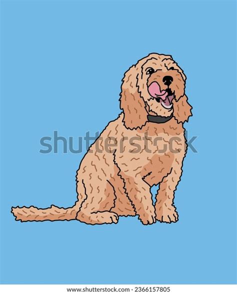 Image result for Cockapoo Dog Sitting Down