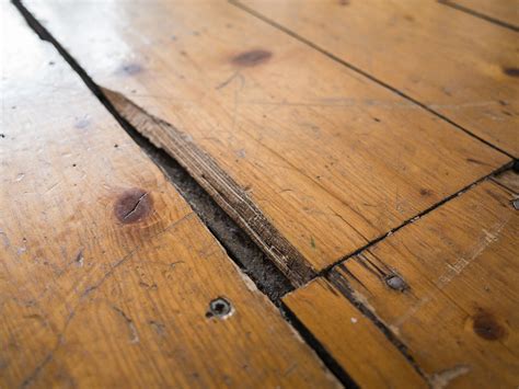 How to Fix Scratched Floorboards in 9 Simple Steps - realestate.com.au
