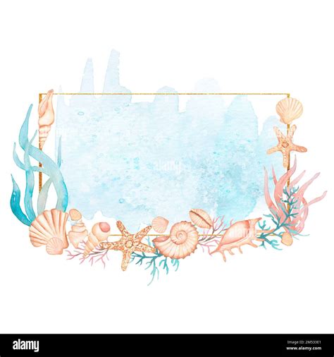 Seashell Border Clip Art