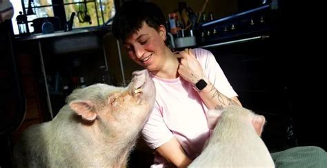 EN IMAGES. En Bretagne, elle vit avec Gustave et Léon, ses deux cochons ...