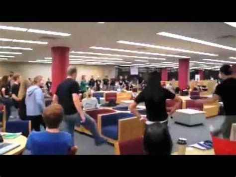 Image result for Library Flashes