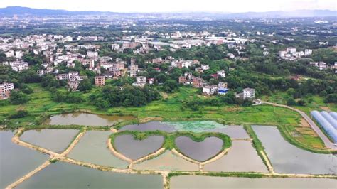 三江乡：以水兴水 产业强村 | 赣州经济技术开发区