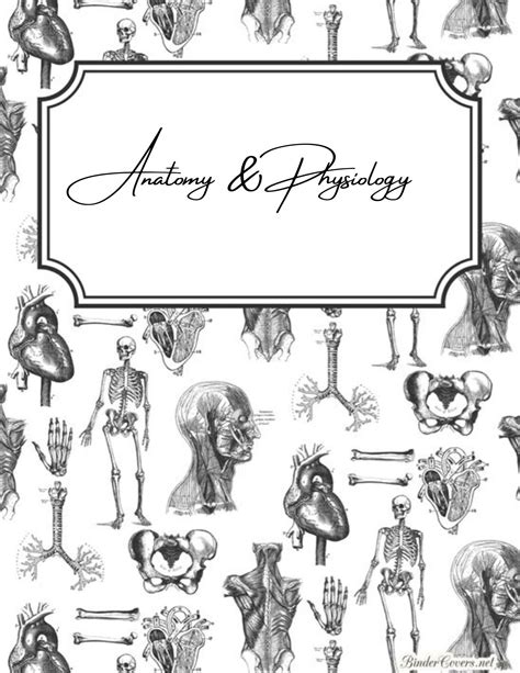 Anatomy & Physiology Binder Page - Etsy