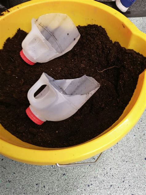 Image result for How to Reuse Milk Containers