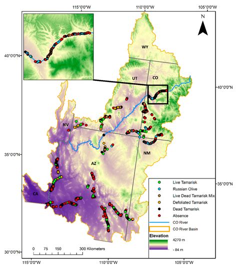 Tamarisk and Russian Olive Occurrence and Absence Dataset Collected in ...