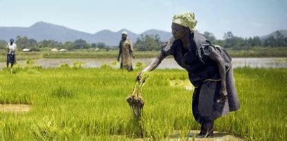 The Gender Gap Cannot Be Measured in Just Dollars - The Wire