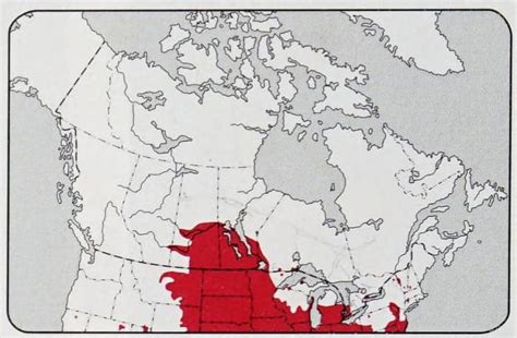 Canada 的图像结果