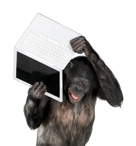 Image result for Happy Monkey Computer
