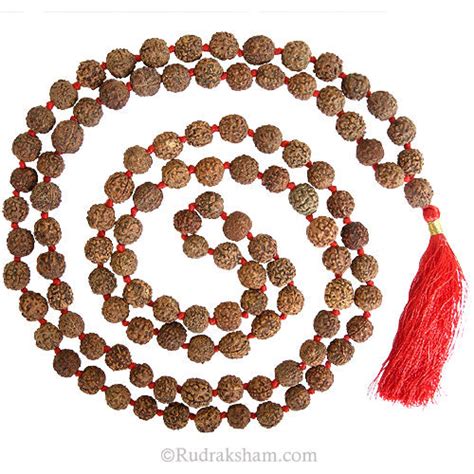108 Beads 12 mm Rudraksha Japa Mala Rosary – Rudraksham