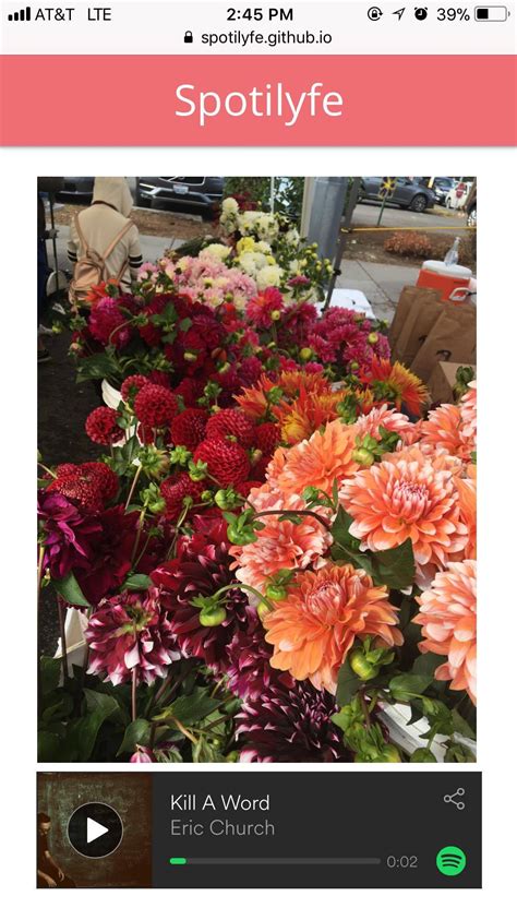 Doe Rae Me | Devpost