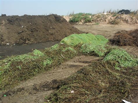 Image result for Large-Scale Composter