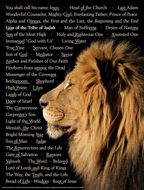 Lion of Judah Wall Chart - Unlaminated : Rose Publishing: Amazon.in: Books